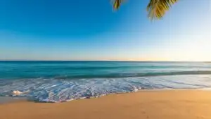 Sunny Tropical Paradise Beach