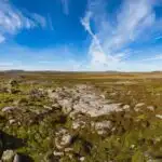 Tundra Landscape Moss Lichen Wide View Arctic Cold