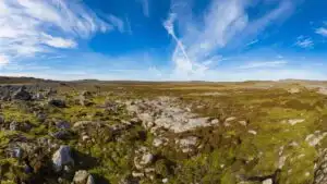Tundra Landscape Moss Lichen Wide View Arctic Cold