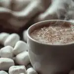 Winter Hot Chocolate Marshmallows Cozy