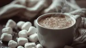 Winter Hot Chocolate Marshmallows Cozy