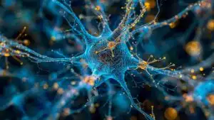 Abstract Brain Synapse Neural Network