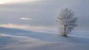 Cold Morning Over Empty Field