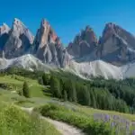 Dolomites Alpine Meadow with Jagged Mountain Peaks