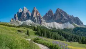Dolomites Alpine Meadow with Jagged Mountain Peaks