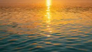 Golden Reflection on Water