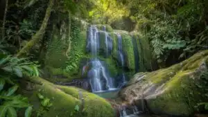 Hidden Jungle Waterfall