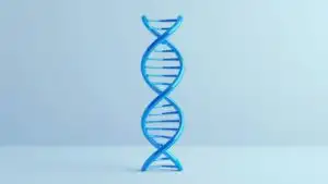 Minimalist DNA Double Helix Blueprint