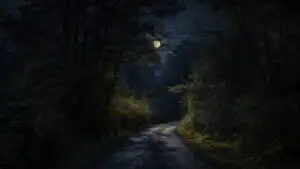 Moonlit Forest Road at Night