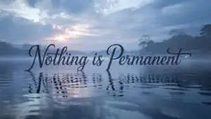 Nothing Is Permanent