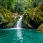 Rainforest Waterfall Moss Covered Rocks Fresh Water