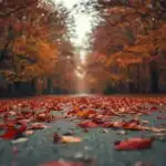 Red Leaves Falling on Empty Path