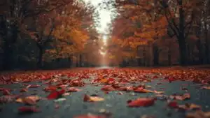 Red Leaves Falling on Empty Path