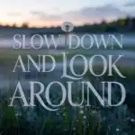 Slow Down and Look Around