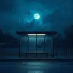 Soft Rain on Empty Bus Stop