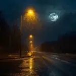 Wet Street Under Lamp Glow