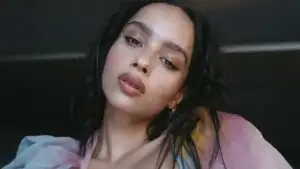 Zoe Kravitz Dark Soft Look