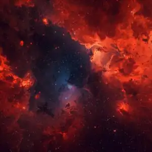 Cosmic Infrared Telescope View Dust