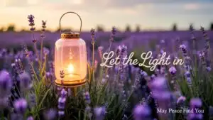 Let the Light In