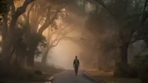 Man Walking Alone in Morning Mist