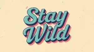 Stay Wild Retro Font Design