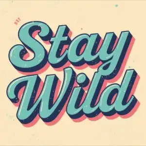 Stay Wild Retro Font Design