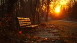 Sunset Light on Forgotten Bench