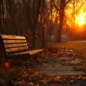 Sunset Light on Forgotten Bench