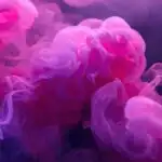 Vibrant Purple Pink Smoke Cloud Detail
