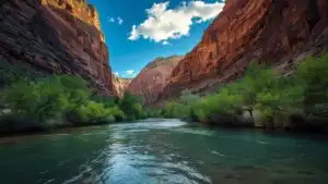 Zion National Park River Narrows Flow