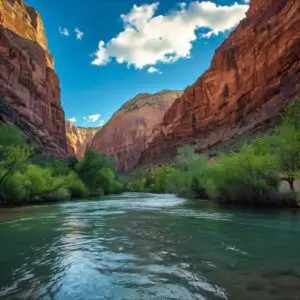 Zion National Park River Narrows Flow
