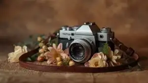 Vintage Camera and Flowers Scene