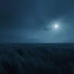 Cold Wind in Empty Field