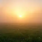 Foggy Morning Field Sun Rays Breaking