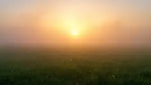 Foggy Morning Field Sun Rays Breaking