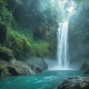 Lush Rainforest Waterfall Cascade