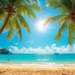 Summer Beach Tropical Palm Trees Ocean