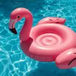 Summer Pool Float Inflatable Flamingo