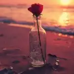 Shattered Glass Bottle with Rose