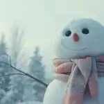 Snowman and Scarf in January Chill