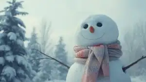 Snowman and Scarf in January Chill