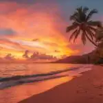 Tropical Beach Sunset Palm Trees Silhouette
