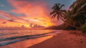 Tropical Beach Sunset Palm Trees Silhouette