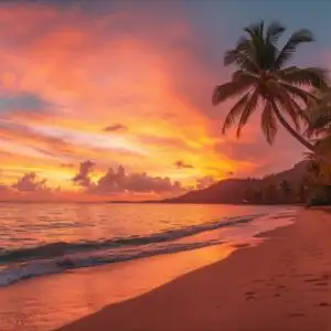 Tropical Beach Sunset Palm Trees Silhouette