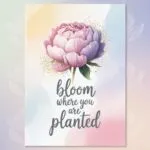 Aesthetic Quote Pastel Color Soft Gradient