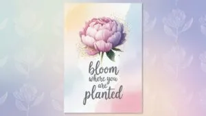 Aesthetic Quote Pastel Color Soft Gradient