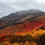 Autumn Hues on a Mountain Slope
