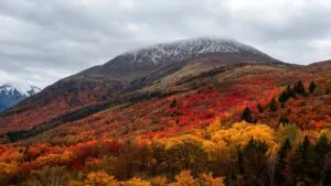 Autumn Hues on a Mountain Slope