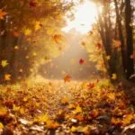 Autumn Leaves Falling Golden Light Path