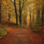 Autumn Woodland Path